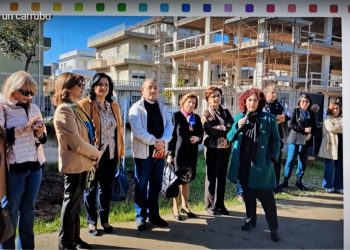 La scuola Senia si arricchisce di un albero di carrubo