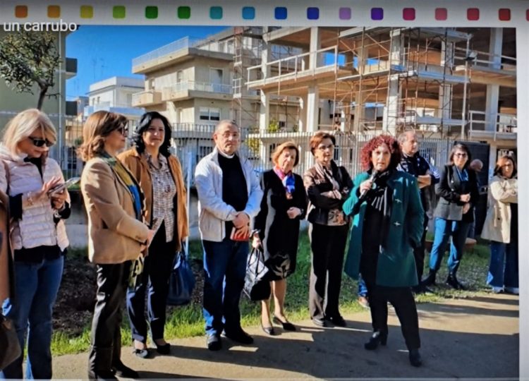 La scuola Senia si arricchisce di un albero di carrubo