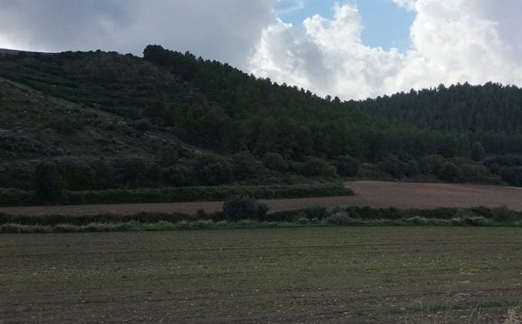 Tragedia a Comiso, 23enne ritrovato morto: era uscito per una corsa