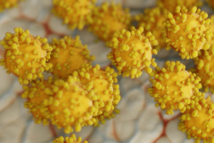 Covid Ragusa, 62 nuovi positivi in 24 ore