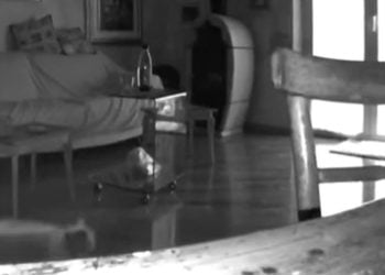 Fortissimo terremoto nelle Marche, la paura e la fuga nei VIDEO è impressionante