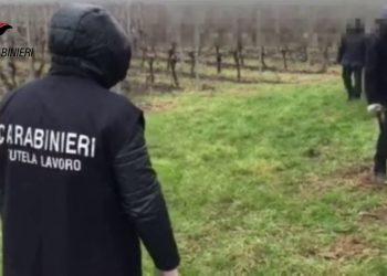Arrestati a Ferrara due pachistani per sfruttamento del lavoro