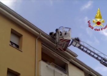 Alberi caduti e cartelli stradali divelti dal forte vento a Sassari