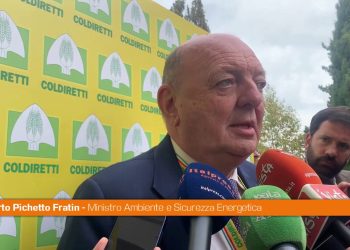 Pichetto “Dal Governo una manovra seria e realistica”