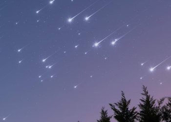 Occhi al cielo per lo spettacolo magico di novembre: arriva una pioggia meteorica