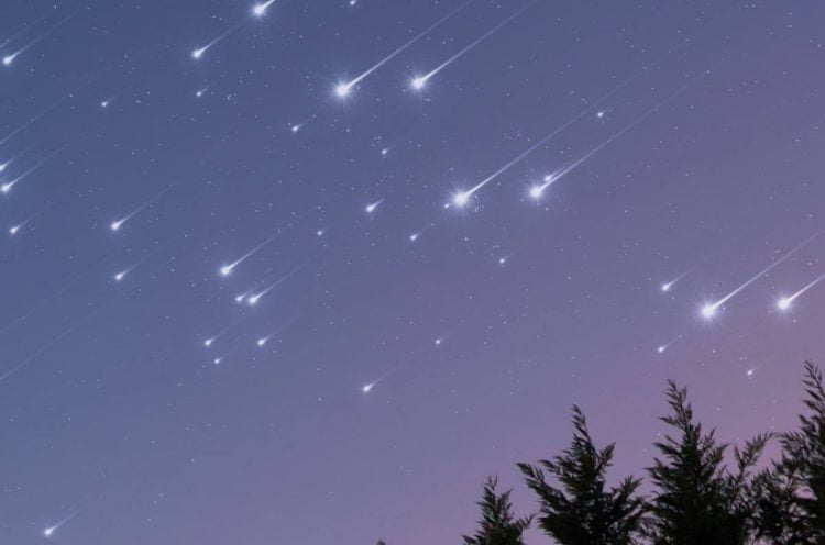 Occhi al cielo per lo spettacolo magico di novembre: arriva una pioggia meteorica