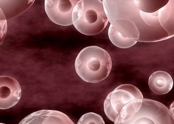 Cellule tumorali in 3d senza coloranti chimici