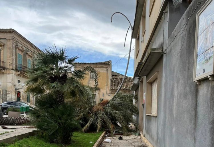 Maltempo Vittoria, cade una palma nel centro storico