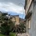 Maltempo Vittoria, cade una palma nel centro storico
