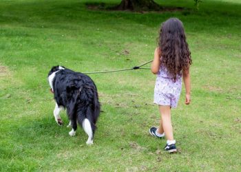 Crescere Insieme: progetto nelle scuole a Ragusa