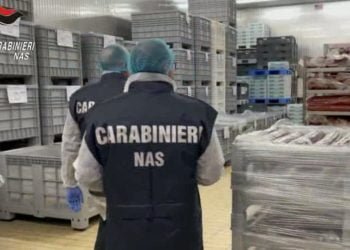 Ragusa, rischio Listeria: sequestri di carne a Modica e Ispica e provvedimenti di chiusura VIDEO