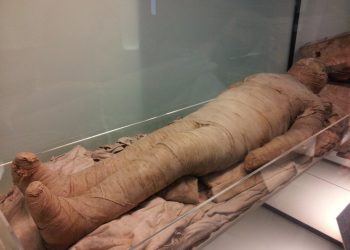 Scoperta straordinaria in Egitto: trovate mummie con la lingua d'oro
