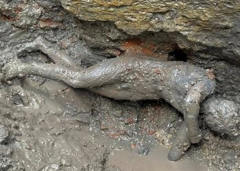San Casciano dei Bagni come Riace, scoperte 20 statue in bronzo: ritrovamento eccezionale