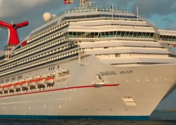 Uomo cade da una nave da crociera, trovato vivo in mare aperto dopo 24 ore: è miracolo