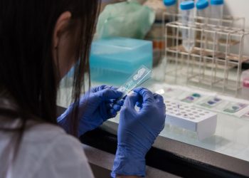 Virus zombie di 48.550 anni fa congelato nel permafrost: risvegliato in laboratorio