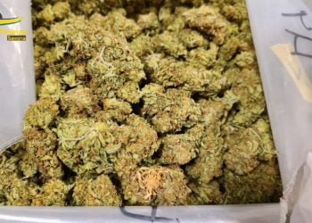 Savona, fermato corriere che trasportava 82 chili di droga