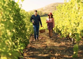 Turismo enogastrogastronomico, Italia sempre più attrattiva