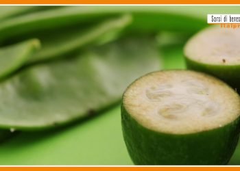 Sorsi di benessere – Una vellutata detox depurante e remineralizzante