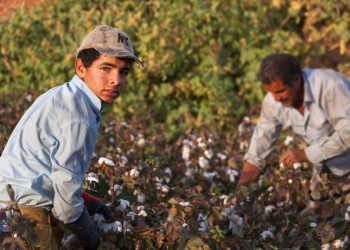 Lavoro, sei nuovi progetti contro il caporalato e lo sfruttamento al Sud