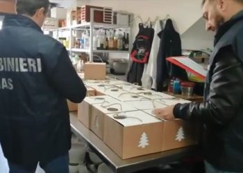 Controlli dei Nas per Natale, multe e denunce tra Agrigento, Palermo e Catania