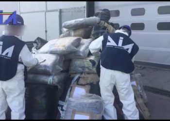 Traffico internazionale di droga dall’Albania, 14 arresti