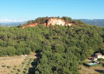 Politica Agricola Comunitaria, dall’Ue via libera al piano italiano