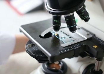 Tumore alla prostata, un naso elettronico per la diagnosi