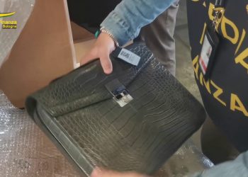 Fiamme Gialle sequestrano a Bologna oggetti in avorio e corallo