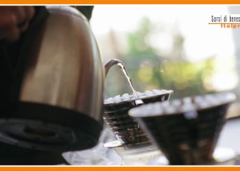 Sorsi di benessere – Zenzero e tè verde contro lo stress ossidativo