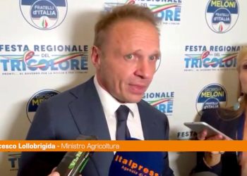 Lollobrigida “Reddito? Va dato solo a chi non può lavorare”