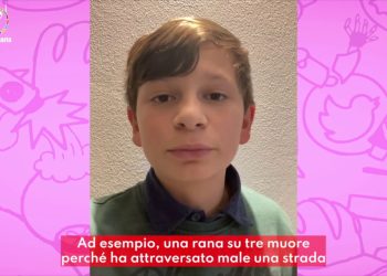 Ambiente, gli anfibi rischiano l’estinzione