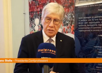 Stella “In Italia maggior numero di liberi professionisti in Ue”