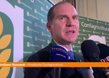 Manovra, Giansanti “Il Governo ha fatto ciò che poteva”