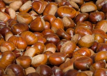 Castagne: proprietà e benefici per la salute