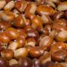 Castagne: proprietà e benefici per la salute