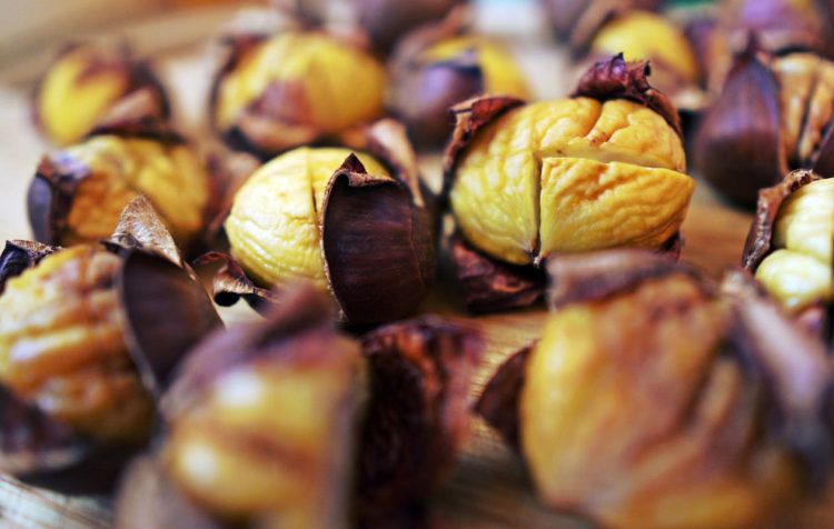 Castagne ricette: cotte al forno o cotte al sale