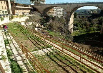Comune di Ragusa, avviso per assegnazione orti urbani: come fare domanda