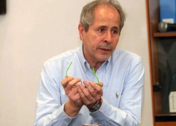 Virus Covid Cina, Crisanti: da Pechino zero informazioni, Governo si attivi