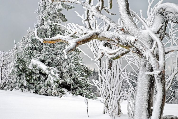 Usa, terribile ondata di gelo: oltre 10 mila voli cancellati