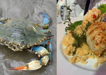 Il granchio blu non fa più paura con Blue Sea Land