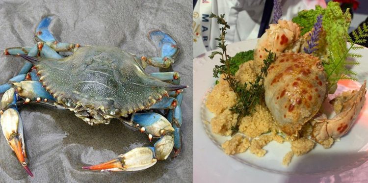 Il granchio blu non fa più paura con Blue Sea Land