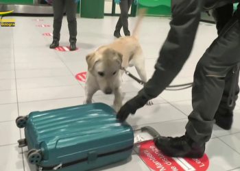 Sequestrati più di 4 mila farmaci illegali all’aeroporto di Bologna