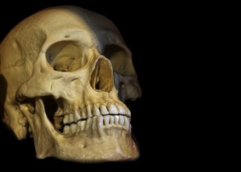 Messico, orrore in aeroporto: scoperti 4 teschi in un pacco