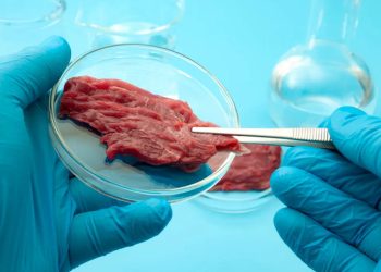 Modica, i consiglieri comunale Alecci, Civello e Spadaro: no al cibo sintetico