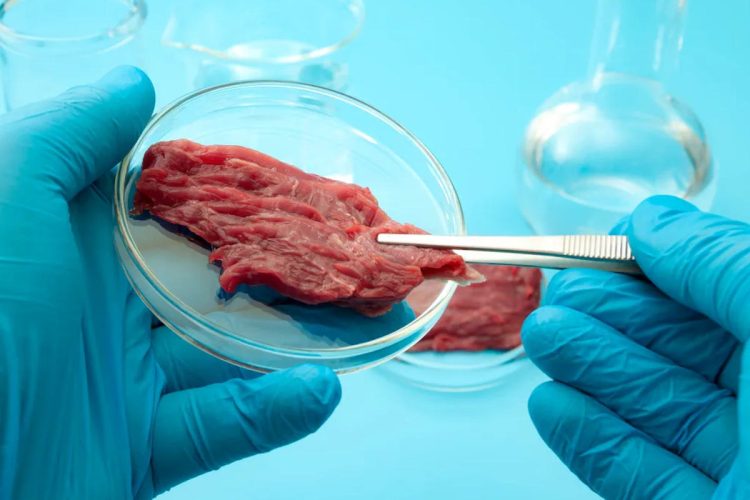 Modica, i consiglieri comunale Alecci, Civello e Spadaro: no al cibo sintetico