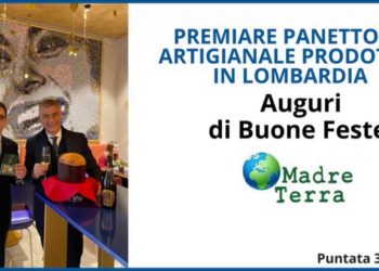 Madre Terra – Un premio al panettone artigianale prodotto in Lombardia