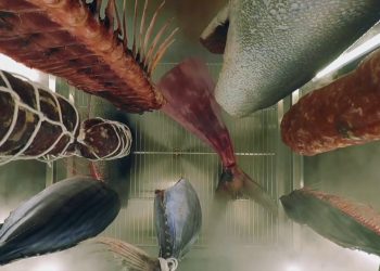 L’innovazione che rende il cibo più sostenibile