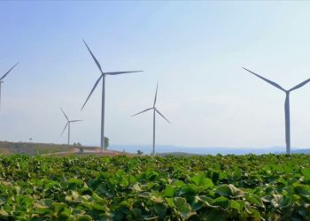 Dall’Europa un miliardo all’Italia per la transizione green