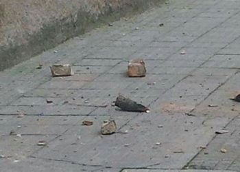 Due scosse di terremoto alle Isole Eolie, due frane in mare. Gente in strada: hanno tremato case