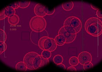 La resistenza agli antibiotici resta elevata ma è in calo